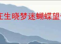 庄生晓梦迷蝴蝶望帝春心托杜鹃