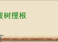 拔树搜根