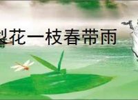 梨花一枝春带雨