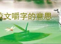 咬文嚼字的意思