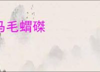 马毛蝟磔