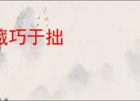 藏巧于拙