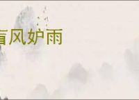 盲风妒雨