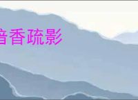 暗香疏影