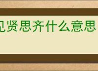 见贤思齐什么意思