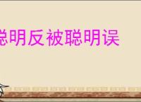 聪明反被聪明误