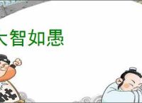 大智如愚