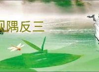 观隅反三