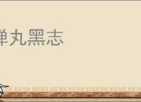 弹丸黑志