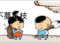 不蔓不枝