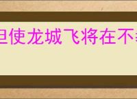但使龙城飞将在不教胡马度阴山的意思