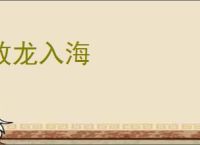 放龙入海