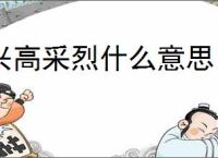 兴高采烈什么意思