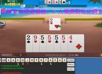 电娱互动掼蛋辅助、4 人棋牌游戏记牌工具,电娱互动 4 人掼蛋电脑记牌器