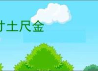 寸土尺金