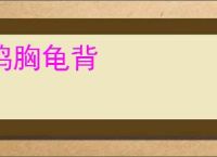 鸡胸龟背