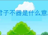 君子不器是什么意思飞身抱月