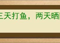 三天打鱼，两天晒网