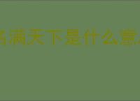 名满天下是什么意思