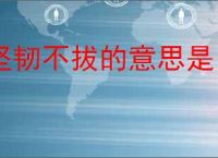 坚韧不拔的意思是