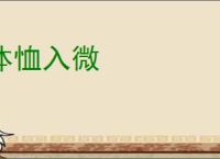 体恤入微