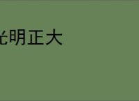 光明正大