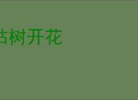 枯树开花