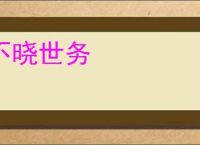 不晓世务