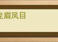 龙眉凤目