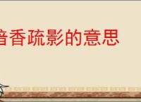 暗香疏影的意思