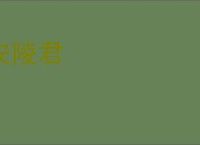 安陵君