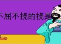 不屈不挠的挠是什么意思