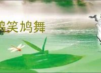 鹊笑鸠舞