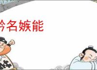 矜名嫉能