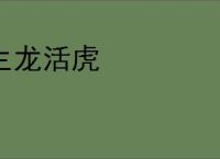 生龙活虎