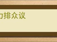力排众议