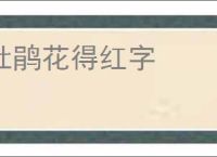 杜鹃花得红字