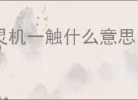 灵机一触什么意思