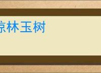 琼林玉树
