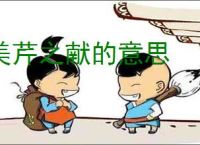 美芹之献的意思