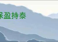保盈持泰