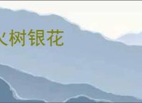 火树银花
