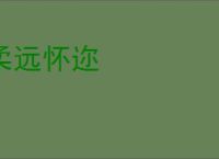 柔远怀迩