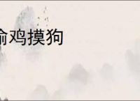 偷鸡摸狗