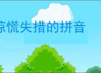 惊慌失措的拼音