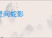 壁间蛇影