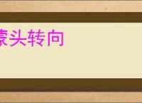 蒙头转向