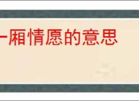 一厢情愿的意思