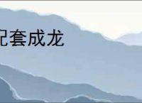 配套成龙