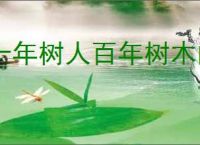 十年树人百年树木的意思